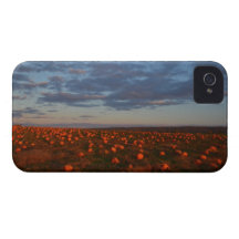 Twilight Pumpkin Patch iPhone 4 Cover
