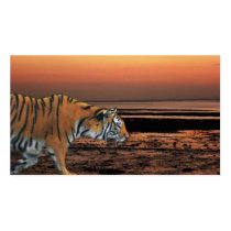 twilight tiger business card