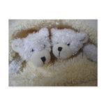 twin baby announcement- bears in a blanket postcards