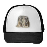 Twin baby Meerkats Hats