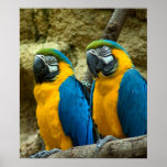 Twin Beaks posters