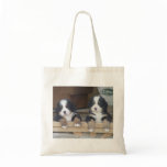 Twin Bernese Mountain Dog Puppies Canvas Bags