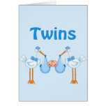 Twin Boys