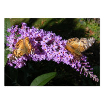 Twin Butterflies ~ ATC