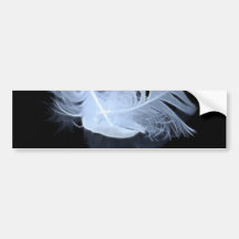 Twin flame feathers and reflection bumper sticker