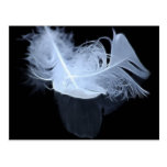 Twin flame feathers and reflection postcard