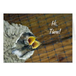 Twin Swallows Card