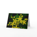 Twinkling Stars Greeting Card