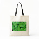 Twinleaf Canvas Bag