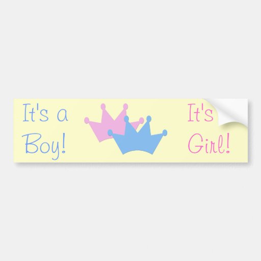 Twins Boy and Girl! Bumper Sticker