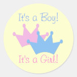 Twins Boy and Girl! Stickers