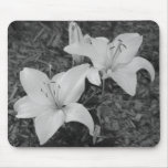 Twins Mousepad