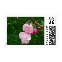Twisted Beauty postage