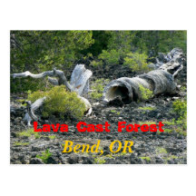 Twisted Destruction Post Card