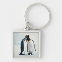 Two affectionate penguins keychains