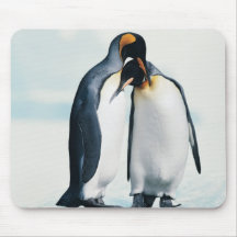 Two affectionate penguins mouse pads