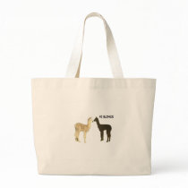 Two alpaca crias meet bag
