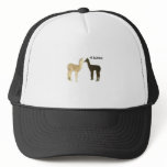 Two alpaca crias meet trucker hat