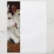 Two Baby Goats Custom Flyer