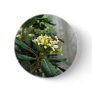 Two Bees Pinback Button