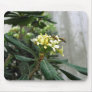 Two Bees Mousepad