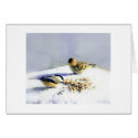 two birds cards