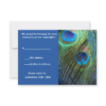 Two Blue Peacock Feathers RSVP Custom Invites