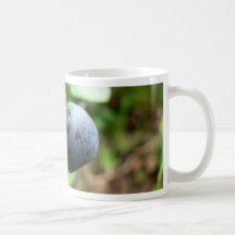 Two Blueberris Mugs