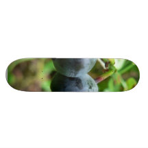 Two Blueberris Skate Board Decks