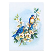 Two Bluebirds Business Card Template