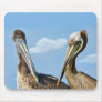 Two Brown Pelicans Mousepad