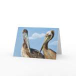 Two Brown Pelicans Note or Greeting Card