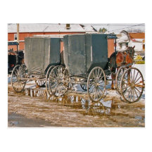 Two Buggies In Puddle Postcards