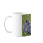 Two bunnies mug