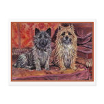 Two Cairn Terriers postcards
