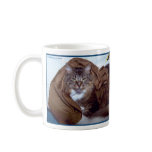 Two cats - domestic american tabby cats mugs