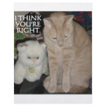 TWO CATS flyers
