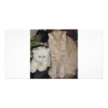 TWO CATS photo cards