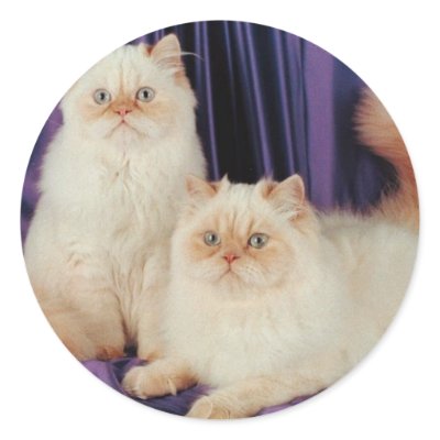 Two Cats Posing Round Sticker by White_Wedding