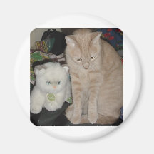 TWO CATS REFRIGERATOR MAGNETS