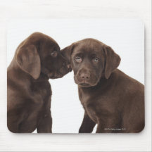 Two chocolate Labrador Retriever Puppies Mousemats