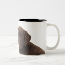 Two chocolate Labrador Retriever Puppies Coffee Mug
