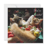 Two Christmas Kitty Cats, Kittens Together, RSVP invitations