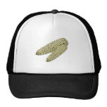 two corn on the cob hat