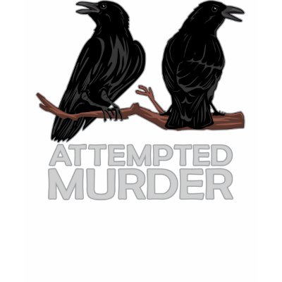 two_crows_attempted_murder_tshirt-p235507793983792073zxoif_400.jpg