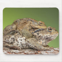 Two Cute Toads Mouse Pads