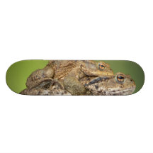 Two Cute Toads Skate Boards