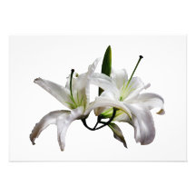 Two Delicate White Lilies Personalized Invites