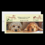 Two dog Christmas card photo template Photo Greeting Card