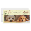 Two dog Christmas card photo template photo cards